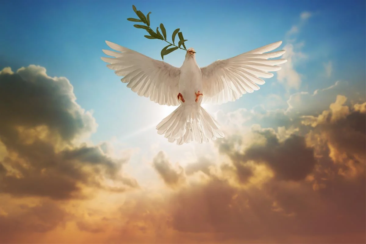 Statement of Faith